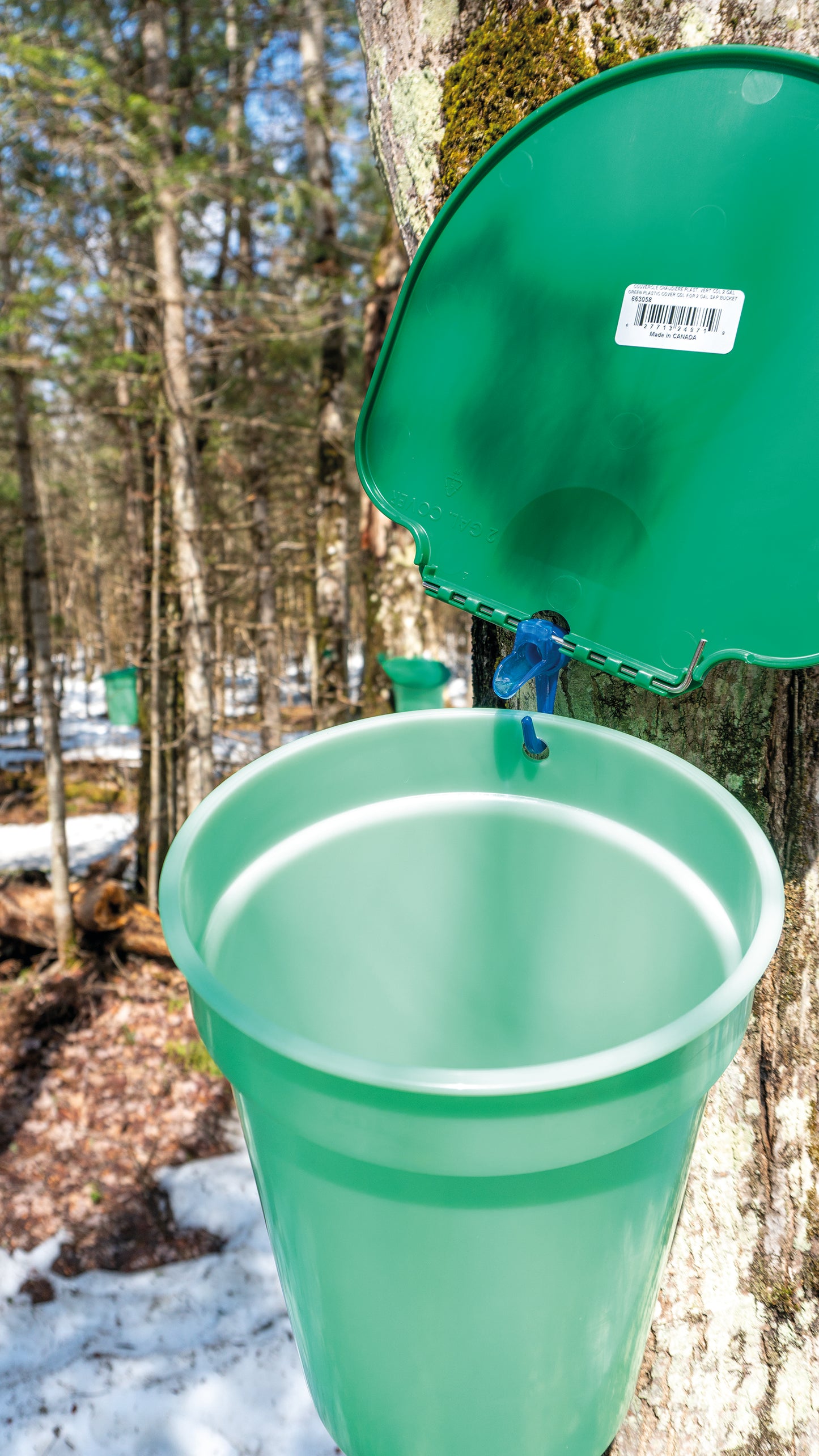 Sulu tecināšanas komplekts- toveris