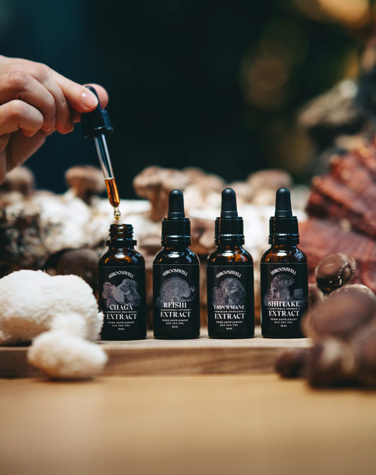 Četru sēņu- ŠITAKE, REIŠI, ČAGA un EŽU DIŽADATENE - ekstrakti, uztura bagātinātāji